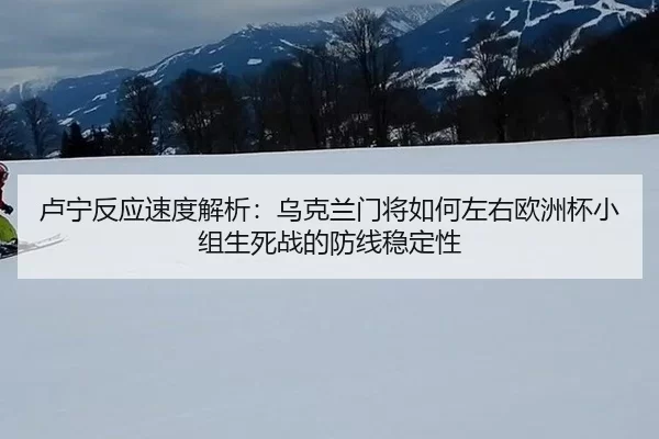 lu-ning-fan-ying-su-du-jie-xi-wu-ke-lan-men-jiang-ru-he-zuo-you-ou-zhou-bei-xiao-zu-sheng-si-zhan-de-fang-xian-wen-ding-2-417.jpg
