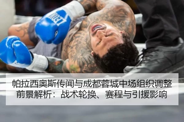 pa-la-xi-ao-si-chuan-wen-yu-cheng-du-rong-cheng-zhong-chang-zu-zhi-tiao-zheng-qian-jing-jie-xi-zhan-shu-lun-huan-sai-2-575.jpg